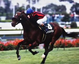 エイシンガイモン - 越後の水があっていた、いぶし銀のマル外