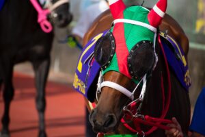 ［地方レース回顧］佐賀のキングと夏の王座へ～2021年・サマーチャンピオン～