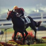 福永祐一 エイシンプレストン 2003年天皇賞・秋 単勝馬券