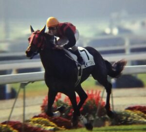 福永祐一 エイシンプレストン 2003年天皇賞・秋 単勝馬券 JRAホームページ｜データファイル｜競走成績データ