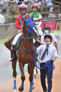 ［石神深一ブログ］オルフェーヴル産駒トゥルボーで、約1年4ヶ月ぶりの障害重賞制覇！