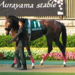 マチカネニホンバレ~天晴マチカネ軍団、日本晴れ~
