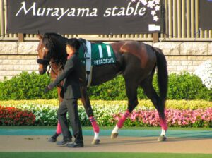 マチカネニホンバレ~天晴マチカネ軍団、日本晴れ~