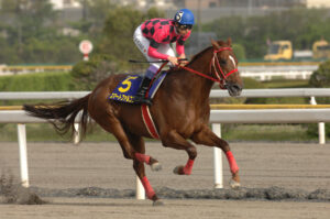 ［白山大賞典］北陸から頂点へ！白山大賞典をきっかけに羽ばたいた名馬たち。