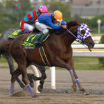 ［日本テレビ盃］フリオーソにアブクマポーロ……日本テレビ盃で勝利した地方の名馬たち。