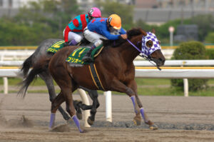 ［日本テレビ盃］フリオーソにアブクマポーロ……日本テレビ盃で勝利した地方の名馬たち。