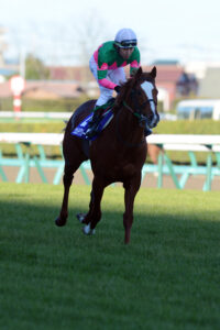 癌に蝕まれながら……。中山重賞2勝、悲運の中山巧者ヴェルデグリーンを振り返る。