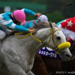 ［スプリンターズS］スノードラゴン - 弥々拓かれて、浩々に輝いて。"新潟"の6ハロン。