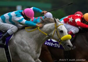 ［スプリンターズS］スノードラゴン - 弥々拓かれて、浩々に輝いて。"新潟"の6ハロン。