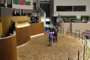 ［連載・馬主は語る］セリで良い馬を買う方法（シーズン1-6）