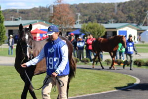 ［連載・馬主は語る］オータムセールに行ってみた（シーズン1-5）