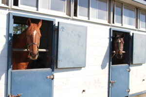 ［連載・馬主は語る］関わる人間の情熱の量がサラブレッドの運命を決める（シーズン1-7）