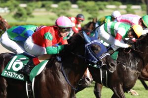 ［重賞回顧］晩夏のロングストレート勝負〜2021年・新潟記念〜