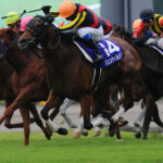 ［2012年秋華賞］淀に舞う勝負の華 - ジェンティルドンナとヴィルシーナ