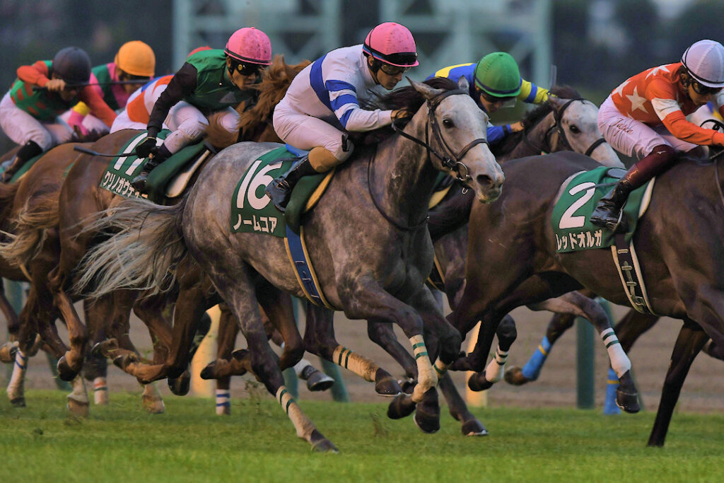 オンライン限定商品】 富士S 第14回 他全馬17頭 懐かしの単勝馬券 