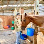 ［インタビュー］岩手の馬スポット、馬っこパーク・いわてが考える、引退馬支援