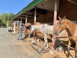 ［インタビュー］ホースセラピーの現場で起こった、奇跡のような出来事とは。