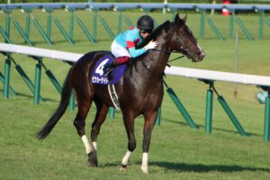 ［重賞回顧］23年ぶりの快挙。その裏で繋がった血と人のドラマ～2021年・スプリンターズS～