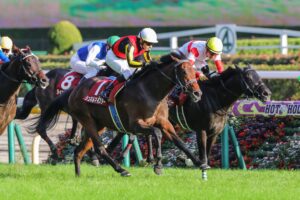 ［重賞回顧］天国の偉大な作曲家に捧ぐ、白秋の好レース～2021年・毎日王冠～