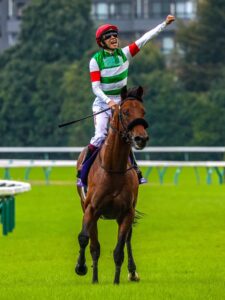 ［有馬記念］"五輪イヤー"有馬記念！今年の”世相”から、有馬記念を考える。