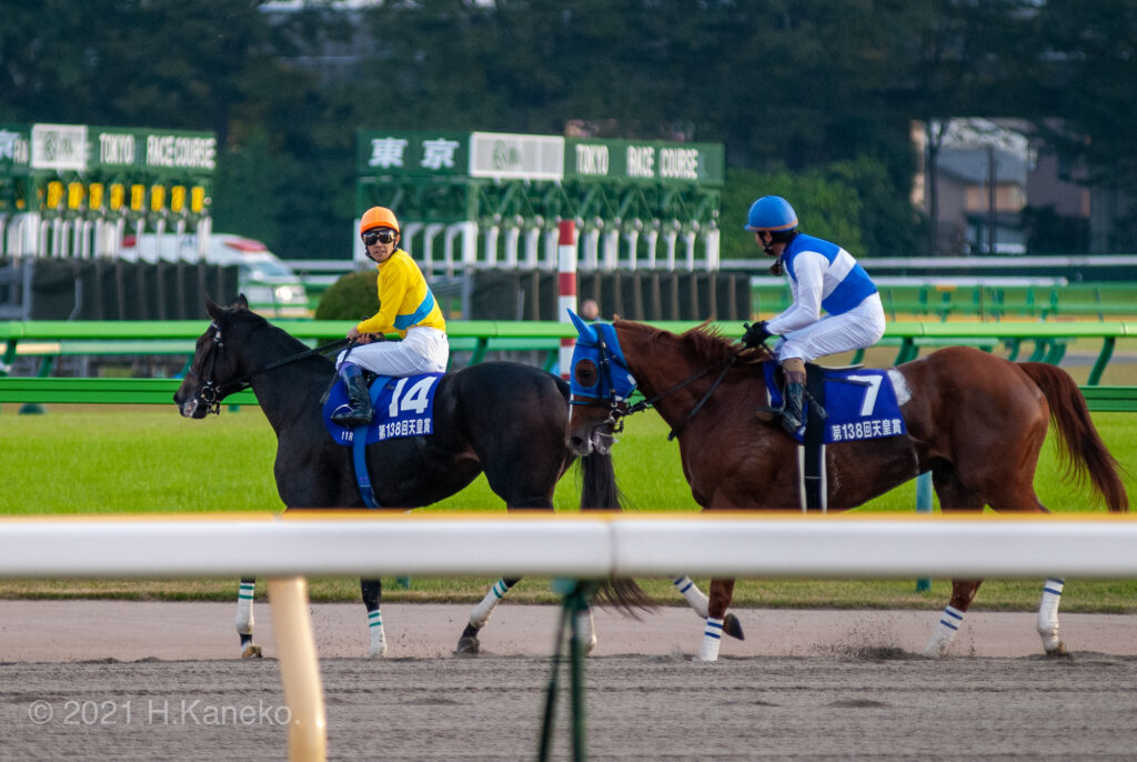 天皇賞・秋］ウオッカvsダイワスカーレットvsディープスカイ…。牝馬の