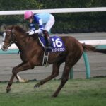 シュヴァルグラン~偉大な馬に導かれて~
