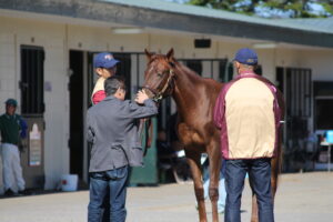 ［連載・馬主は語る］ホゲットミーノット（シーズン1-10）