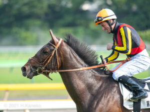 直線に血をたぎらせた、二冠馬。夢のように駆け抜けたドゥラメンテの生涯。