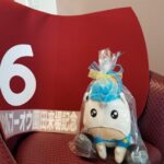 ［旅行記］個人協賛レースを"はしご"して。