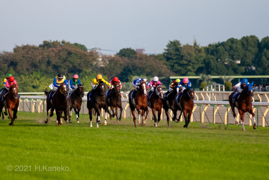 天皇賞 秋 ウオッカvsダイワスカーレットvsディープスカイ 牝馬の時代を象徴する大熱戦 08年 天皇賞秋 競馬コラム ニュース ウマフリ