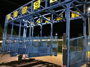 ［エーデルワイス賞］サンドピアリスにダイナアクトレス…エーデルワイス賞好走馬の血統表に名を残す名牝たち。