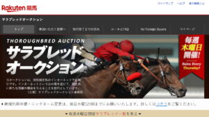 ［連載・馬主は語る］サラブレッドオークション（シーズン1-9）