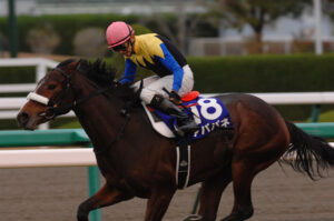 ［阪神JF］アパパネ、メジャーエンブレム、ラッキーライラック、ソダシ。2歳女王からドラマチックな名牝へ！