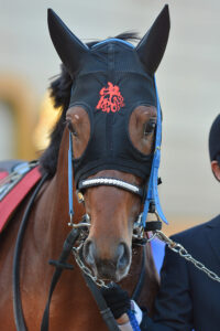 ［デイリー杯2歳S］クラレント、タガノエスプレッソ、エアスピネル…出世レースを駆け抜けた近年の個性派を振り返る。