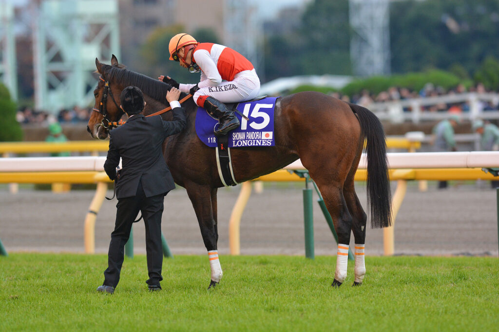 それは 必然の勝利 ディープ牝馬ショウナンパンドラが 強豪牡馬を撃破した日 競馬コラム ニュース ウマフリ