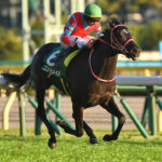 「今日のこのレースを現地で観た、ということはこの先、きっと自慢できるよ」。二度、そう言わしめた無敗の三冠馬コントレイル。