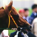 グラスワンダー  朝日杯 安田記念 京王杯SC 他  現地購入 ５枚 ウマ娘 グラスワンダー 朝日杯 安田記念 京王杯SC 他 現地購入 5枚 ウマ娘