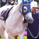 ［JBCクラシック］ひょっとしたらひょっとして……。牡馬を相手に残り５０ｍまで先頭だった、ダートの名牝レイナワルツ。