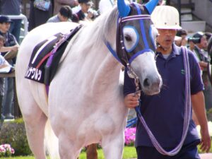 ［JBCクラシック］ひょっとしたらひょっとして……。牡馬を相手に残り５０ｍまで先頭だった、ダートの名牝レイナワルツ。