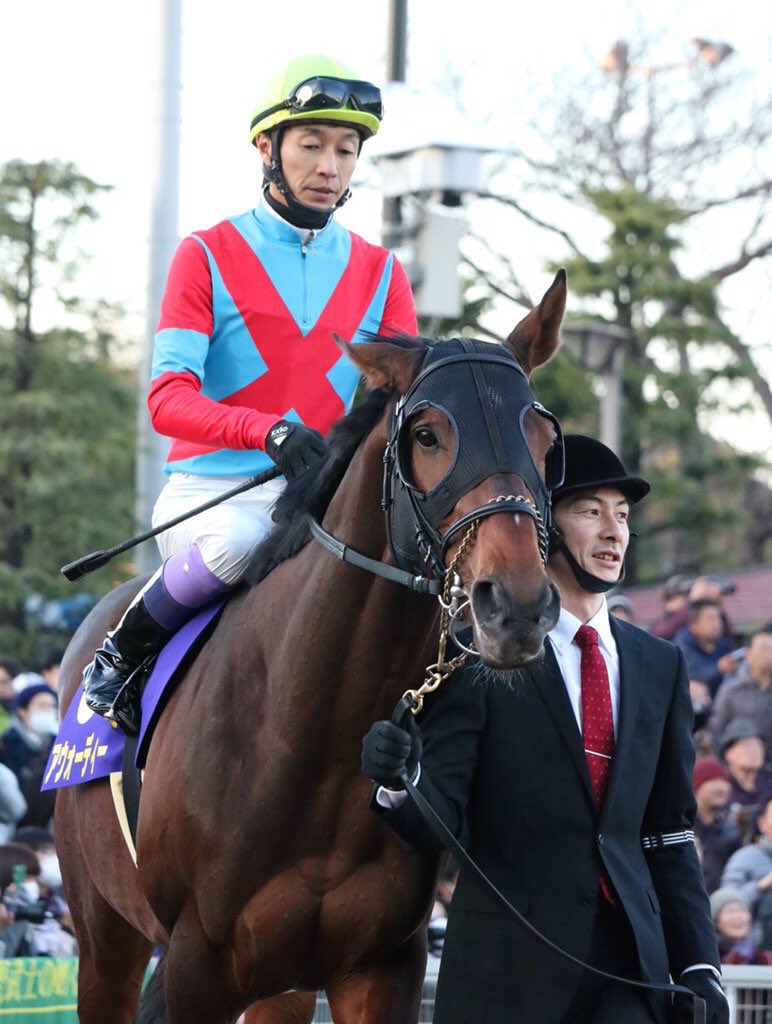 貴重品］JRA 競馬 アウォーディー 帝王賞 実使用ゼッケン 武豊騎手騎乗 落とし込ん