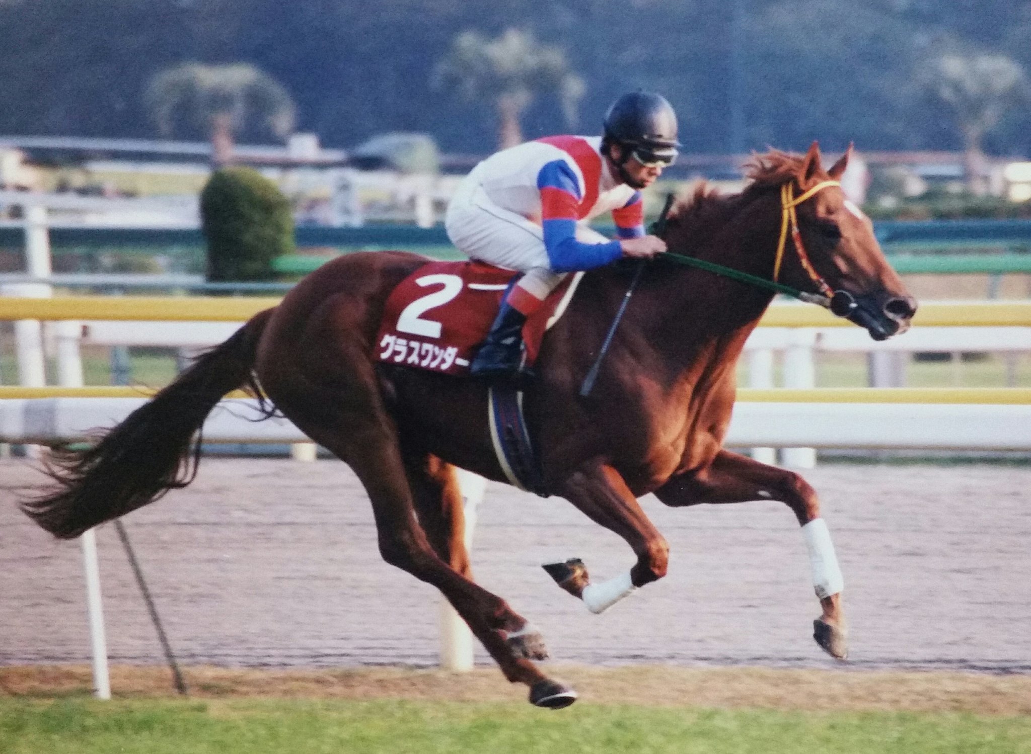馬名に違わぬ"ワンダー"なレースぶり - 1997年・京成杯3歳ステークス