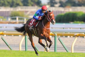 ［重賞回顧］師弟コンビが巻き返し、新種牡馬のホープたちを撃破～2021年・京王杯2歳S～