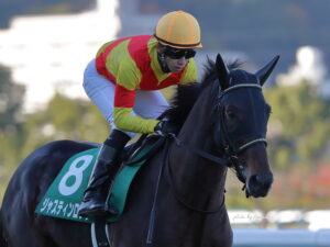 ［重賞回顧］向かい風を切り裂く壮絶な叩き合いの末に～2021年・ラジオNIKKEI杯京都2歳S～