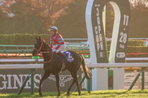 競馬 ジャパンカップ ゴリアット キャップ 帽子 武豊 ルメール カード Amazon.co.jp: 競馬 C.ルメール キャップ 帽子 JRA ゴールド漆