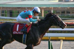 ■現地的中単勝馬券■ サクラチトセオー 1995年　天皇賞秋 ※ウマ娘 maxresdefault.jpg