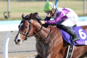 ［地方レース回顧］「末脚一気の定理」証明！～2021年・JBCレディスクラシック～