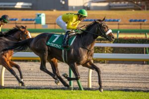 ［重賞回顧］エピファネイア産駒から、また一頭名牝候補が誕生～2021年・アルテミスS～