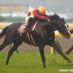 名優の血が二度の坂越えで覚醒 - 2015年アルゼンチン共和国杯・ゴールドアクター