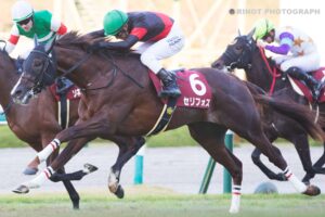 ［重賞回顧］いざ、世代の頂点へ ～2021年・デイリー杯2歳S～