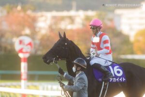 ［重賞回顧］女王の座を射止める、運命の道〜2021年・エリザベス女王杯〜